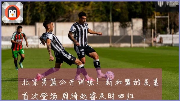 北京男篮公开训练！新加盟的麦基首次登场 周琦赵睿及时回归