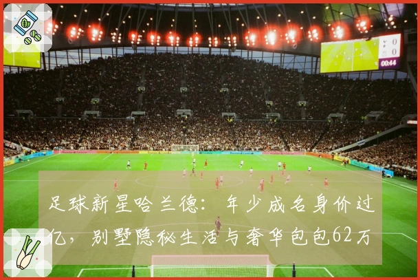 足球新星哈兰德：年少成名身价过亿，别墅隐秘生活与奢华包包62万