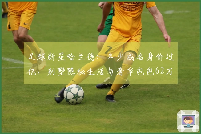 足球新星哈兰德：年少成名身价过亿，别墅隐秘生活与奢华包包62万