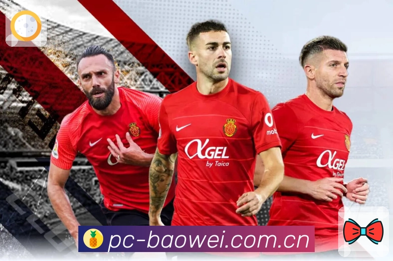 访问保障 访问保障 - 线路检测与备用入口